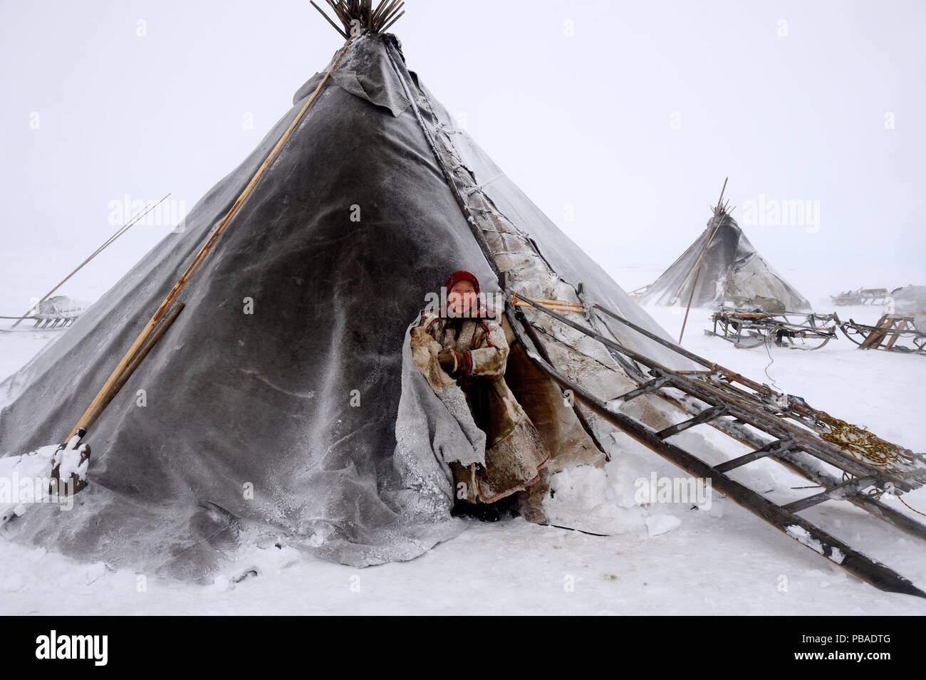 Donna Nenet all ingresso della tenda in Blizzard. Yar-Sale distretto. Yamal, a nord-ovest della Siberia, Russia. Aprile 2016. Foto Stock