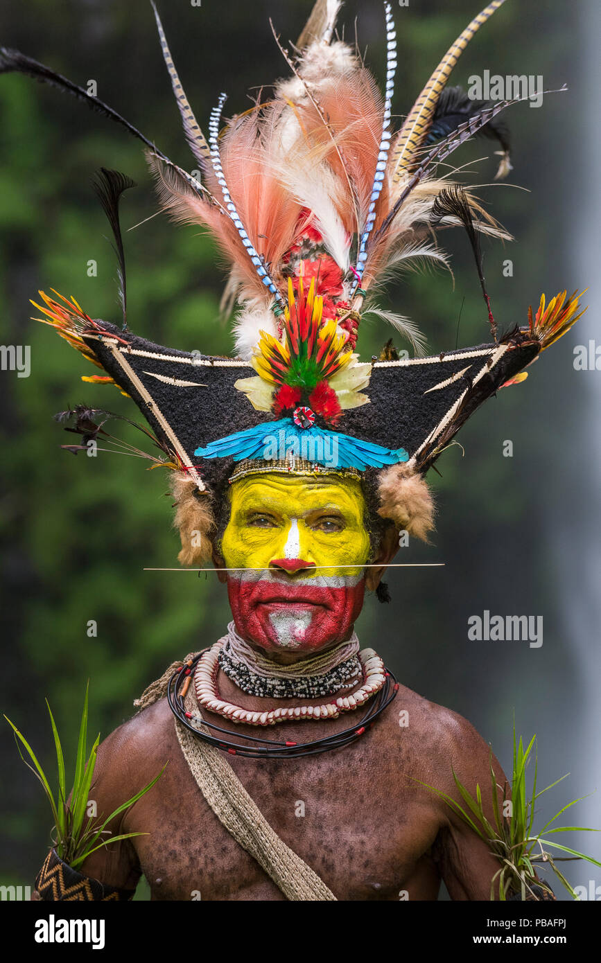 Capo Timon Tumbu Huli Wigman nella tradizionale / abito cerimoniale con piume di uccelli del paradiso, pappagalli e parrocchetti. Tari Valley, Papua Nuova Guinea. Foto Stock