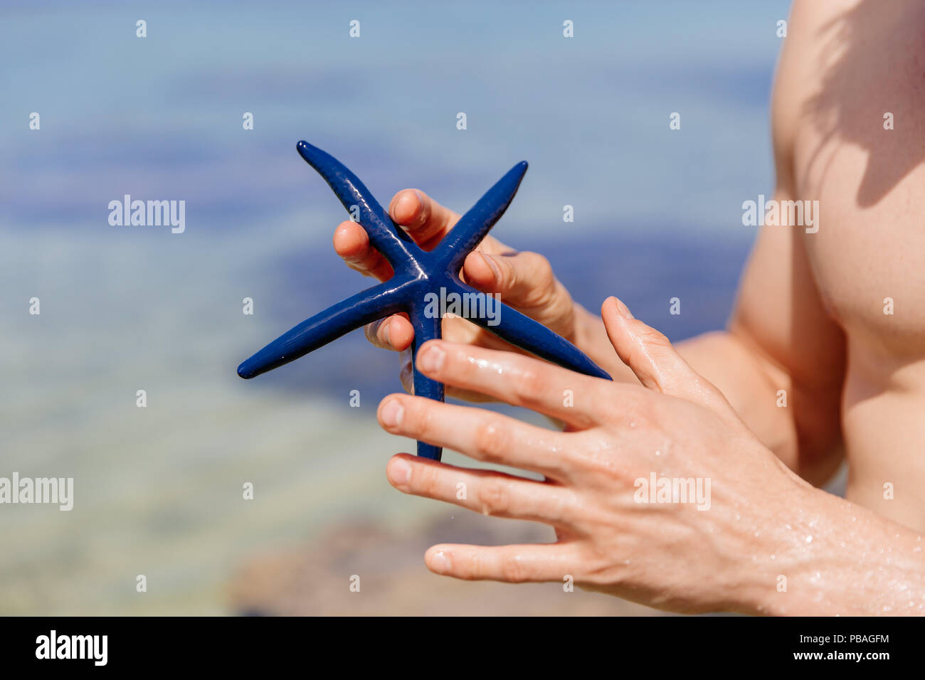 Il Blue Sea star (Linkia laevigata) è un comune abitante della barriera corallina. Foto Stock
