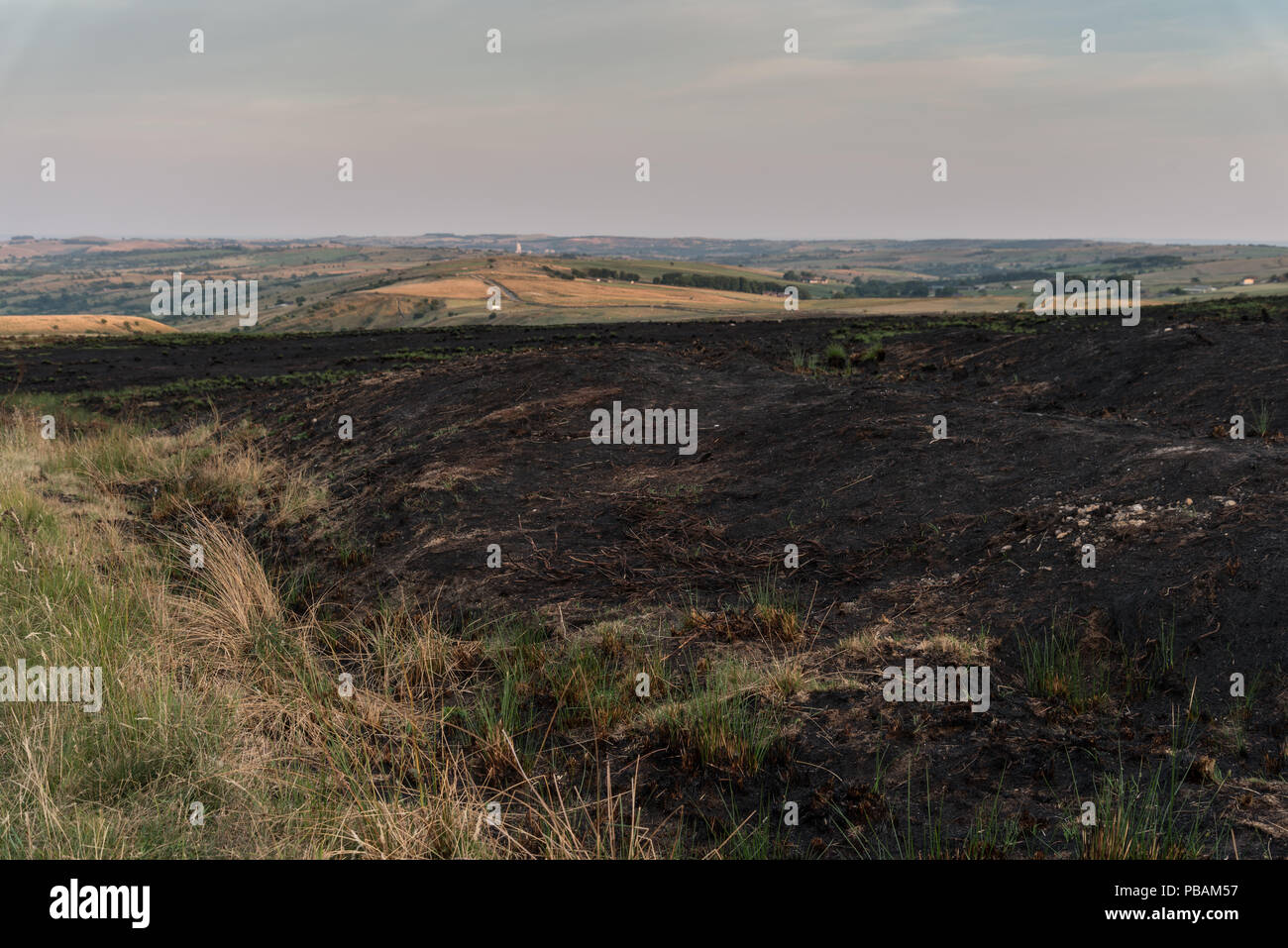 25 luglio 2018, le conseguenze della brughiera devastanti incendi in Staffordshire Peak District vicino a Hillbre con erba carbonizzati e Heather Foto Stock