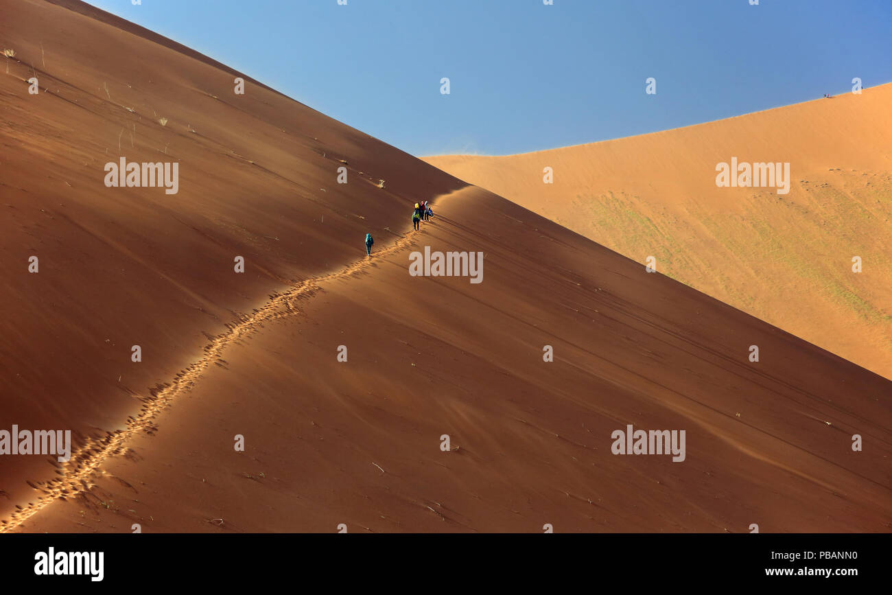 Walkers salendo verso il vertice dei Big Daddy, a 325m la più alta duna di sabbia nel mondo, Deadvlei, Namibia. Foto Stock