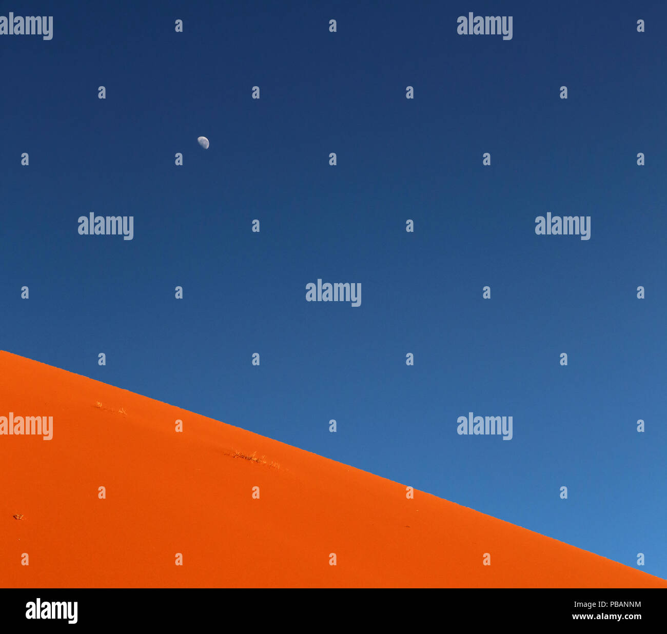 La luna sorge su 45 dune nel deserto del Namib, Namibia. Foto Stock