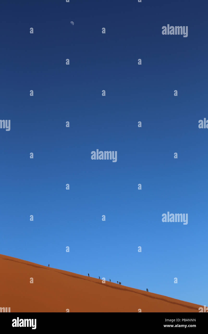 Walkers salita 45 dune nel deserto del Namib, Namibia, al sorgere del sole con la impostazione luna. Foto Stock