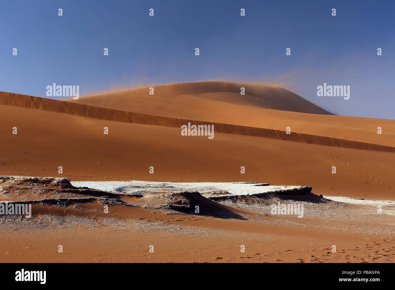 Big Daddy, a 325m la più alta duna di sabbia nel mondo, Namib Desert, Namibia. Foto Stock