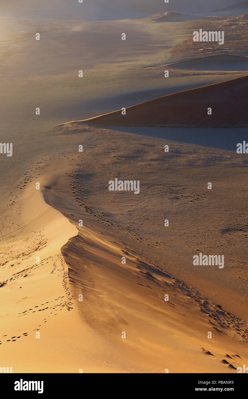 Vista dalla cima delle dune 45 poco dopo l'alba, Namib-Naukluft National Park, Namibia. Foto Stock