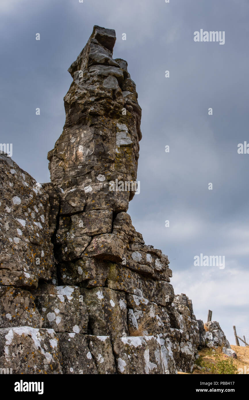 Il solitario pastore a Disgwylfa cava, vicino a Crickhowell, POWYS, GALLES Foto Stock
