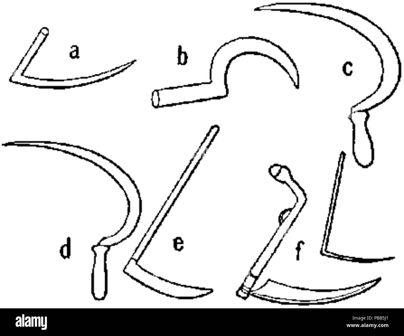 1101 NIE Mietitori Falci e falci Foto Stock