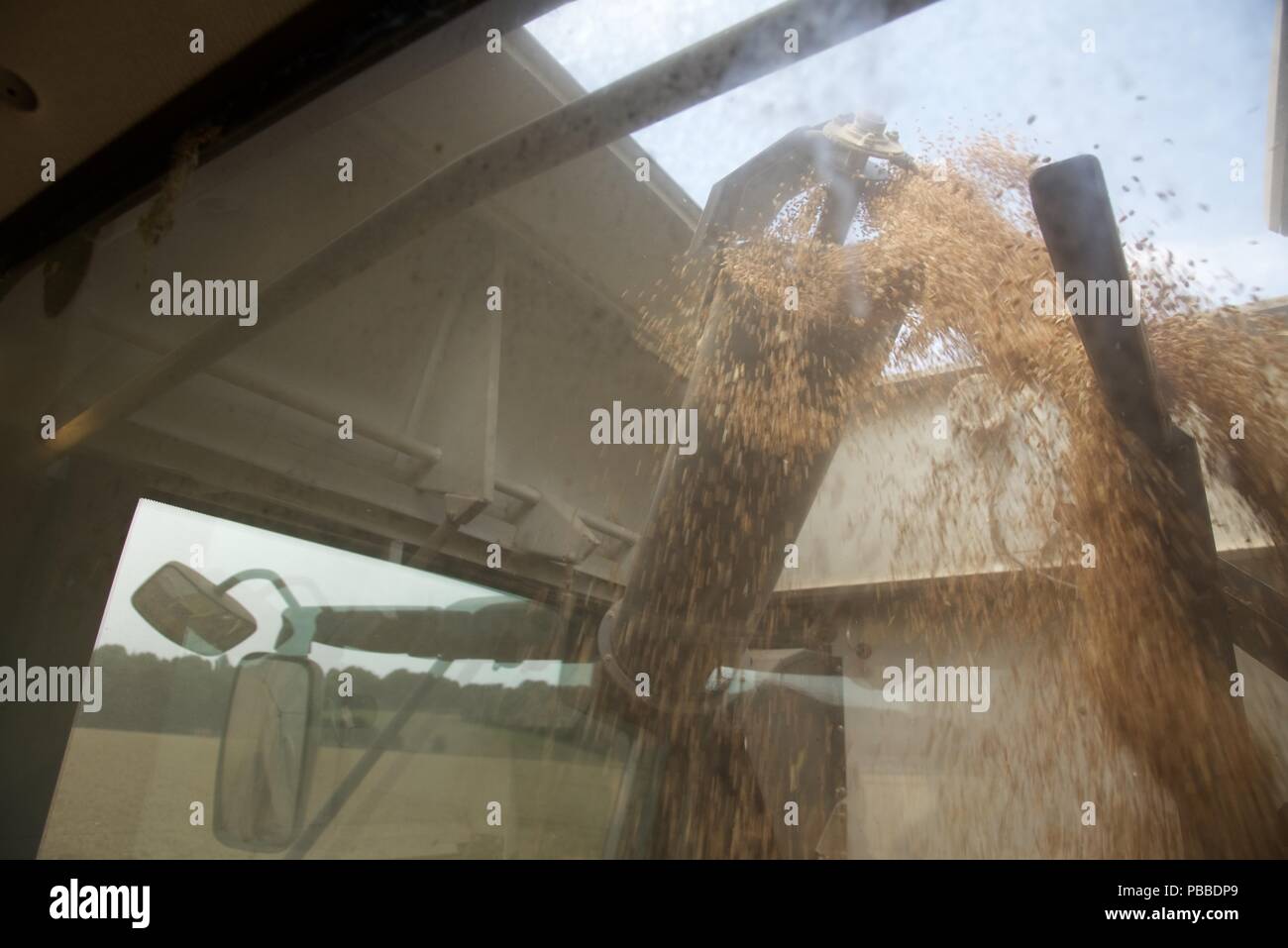 La raccolta di frumento: l'estate del 2018 e le colture di Pas-de-Calais sono quindici giorni di anticipo rispetto al normale, una raffica di attività deriva per raccogliere il grano Foto Stock