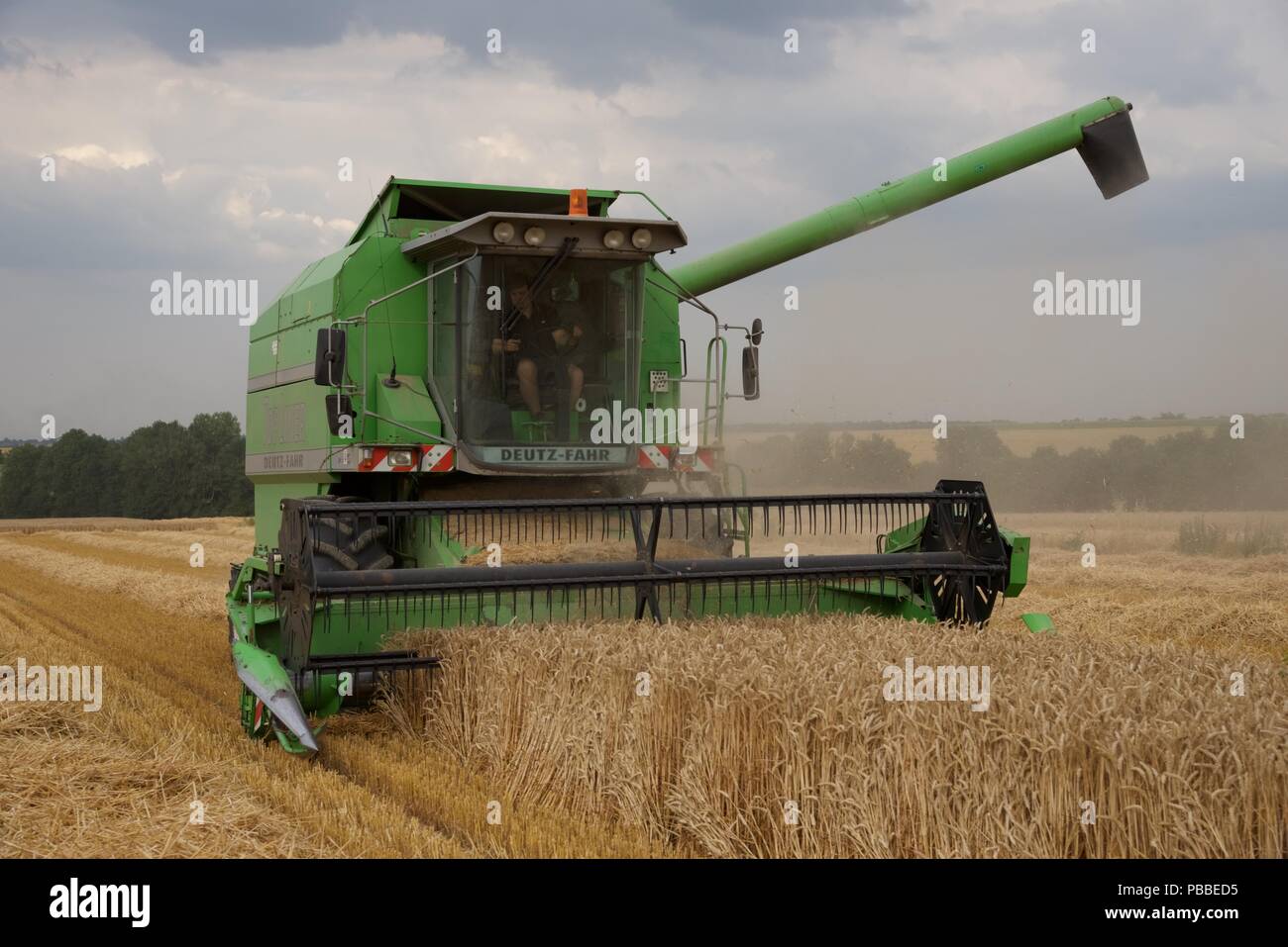 La raccolta di frumento: l'estate del 2018 e le colture di Pas-de-Calais sono quindici giorni di anticipo rispetto al normale, una raffica di attività deriva per raccogliere il grano Foto Stock