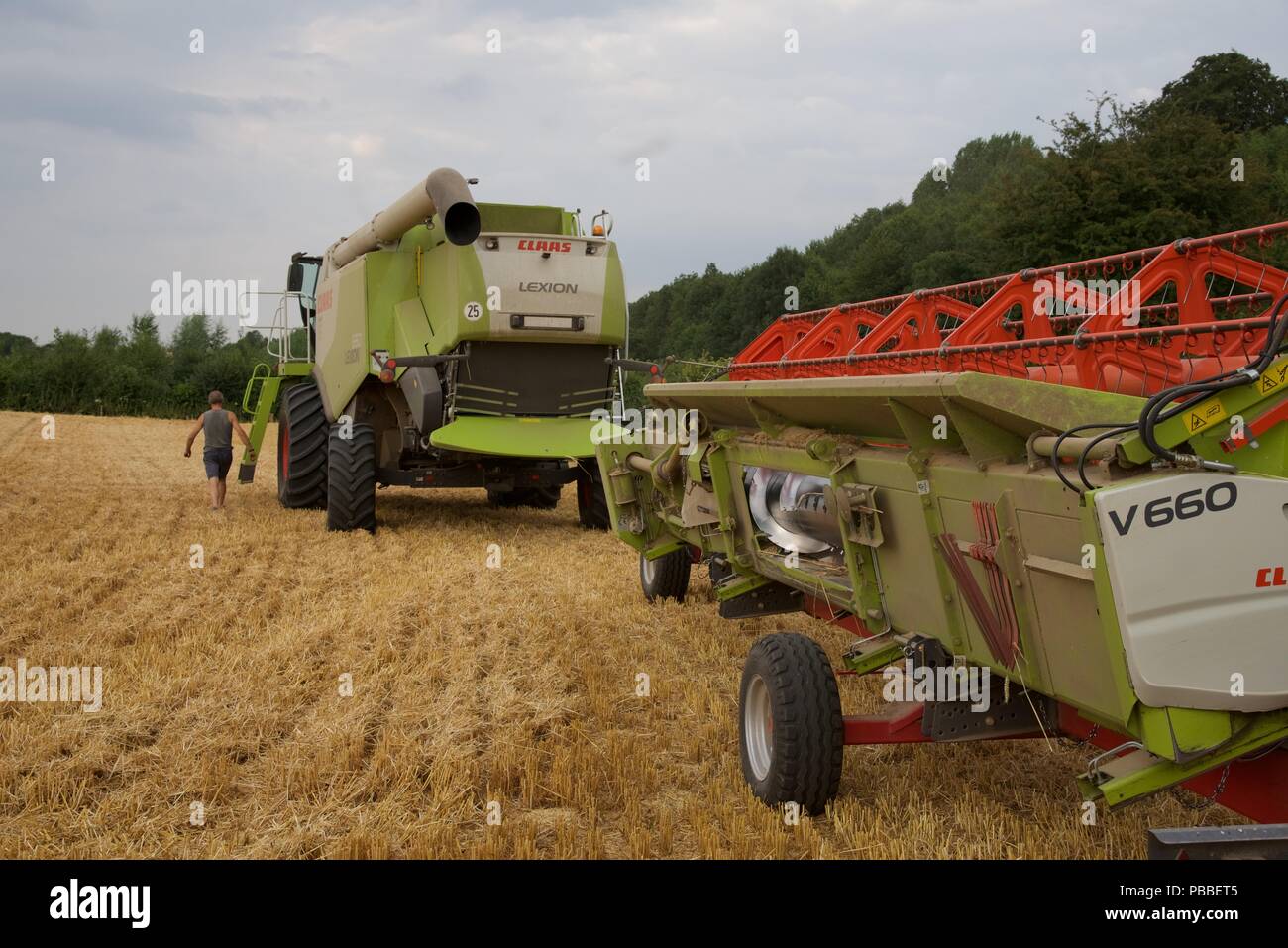 La raccolta di frumento: l'estate del 2018 e le colture di Pas-de-Calais sono quindici giorni di anticipo rispetto al normale, una raffica di attività deriva per raccogliere il grano Foto Stock