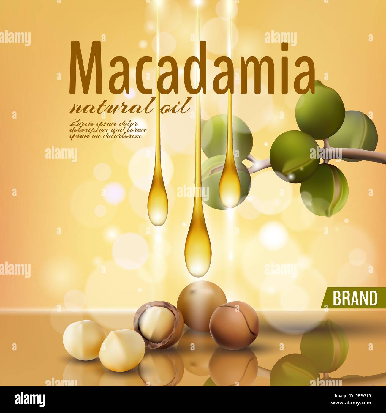 3d realistiche di noce macadamia olio shell cosmetici modello di annuncio Foglie di diramazione nutshell. Luce golden sunny cure di bellezza. Promozionale poster dettagliata riflessione modello defocalizzata illustrazione vettoriale Illustrazione Vettoriale