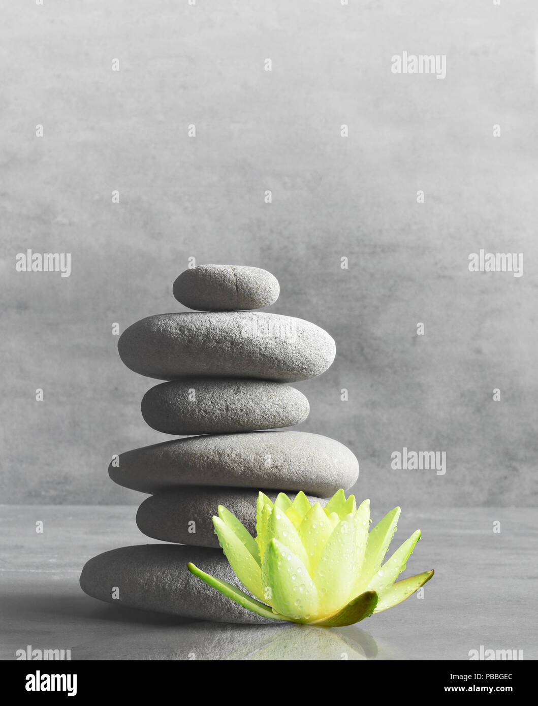 Pietre, Bilanciamento Bianco fiore di lotus e verde foglia di palma. Zen e concetto di spa. Foto Stock