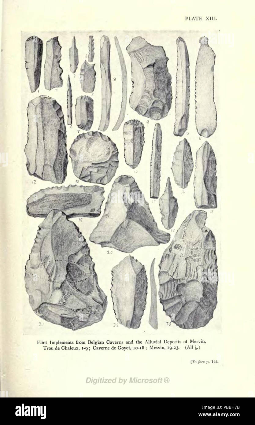 Piastra 1205 XIII- Foto Stock