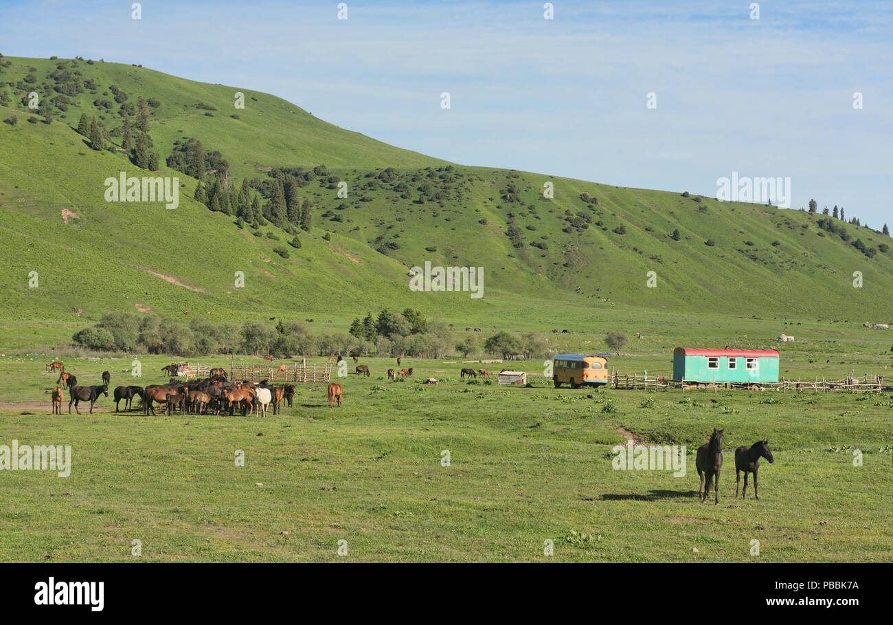 Home sulla gamma, vivono di terra nella valle Jyrgalan, Kirghizistan Foto Stock