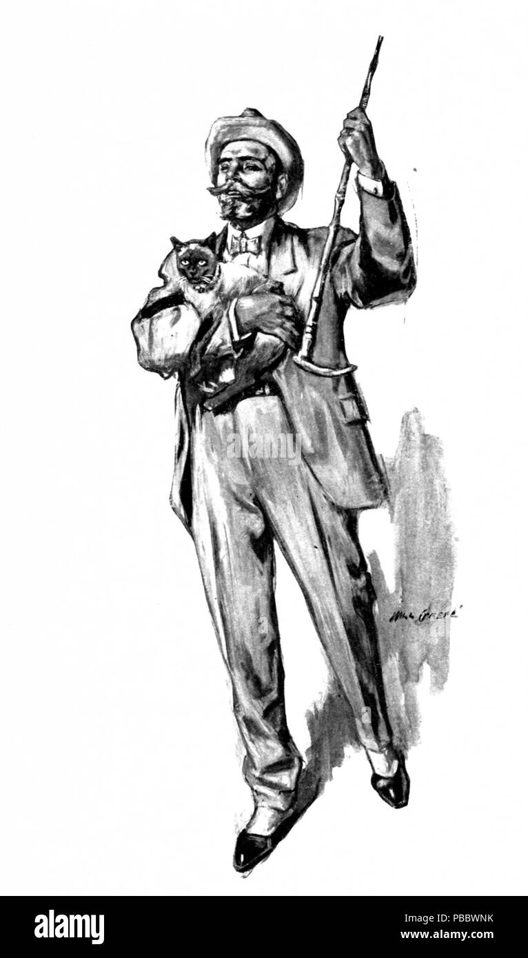 1147 P 098--Il gatto siamese gatto Foto Stock