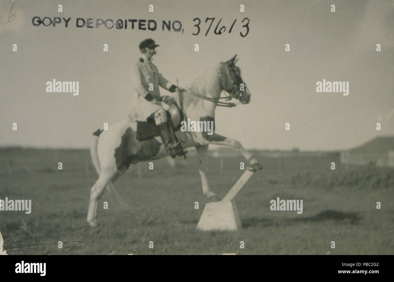 1182 eseguendo gli animali n. C (HS85-10-37613) Foto Stock