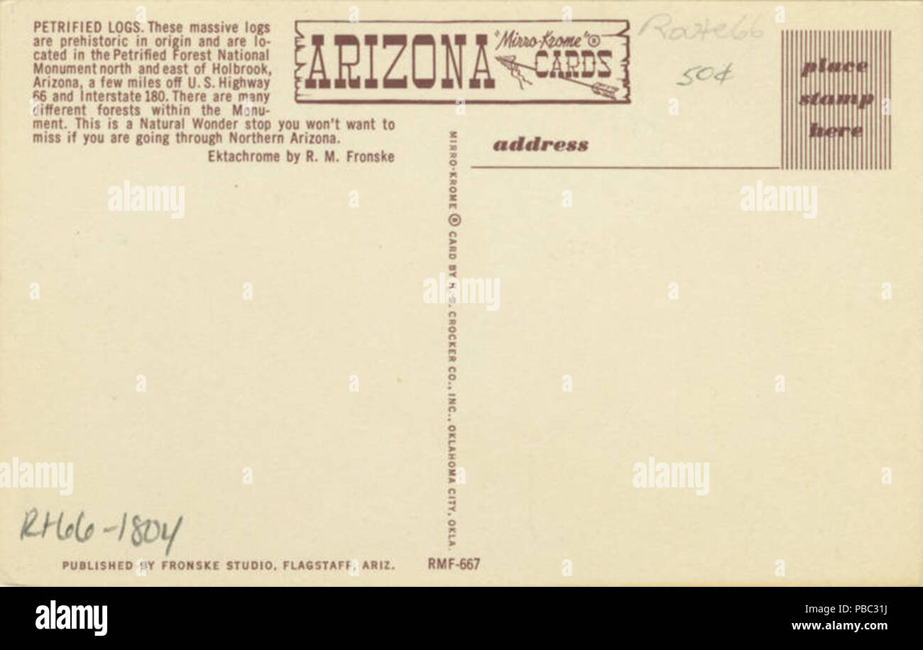 1185 Legno pietrificato (BNI 434057) Foto Stock