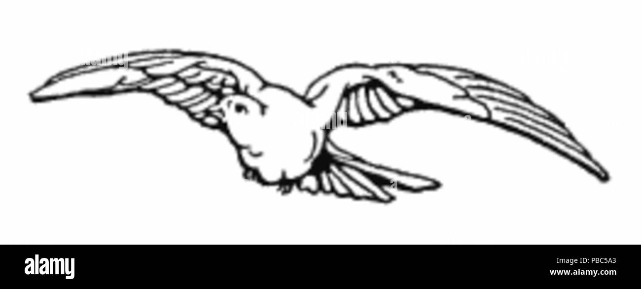 1196 Piccione in volo Foto Stock