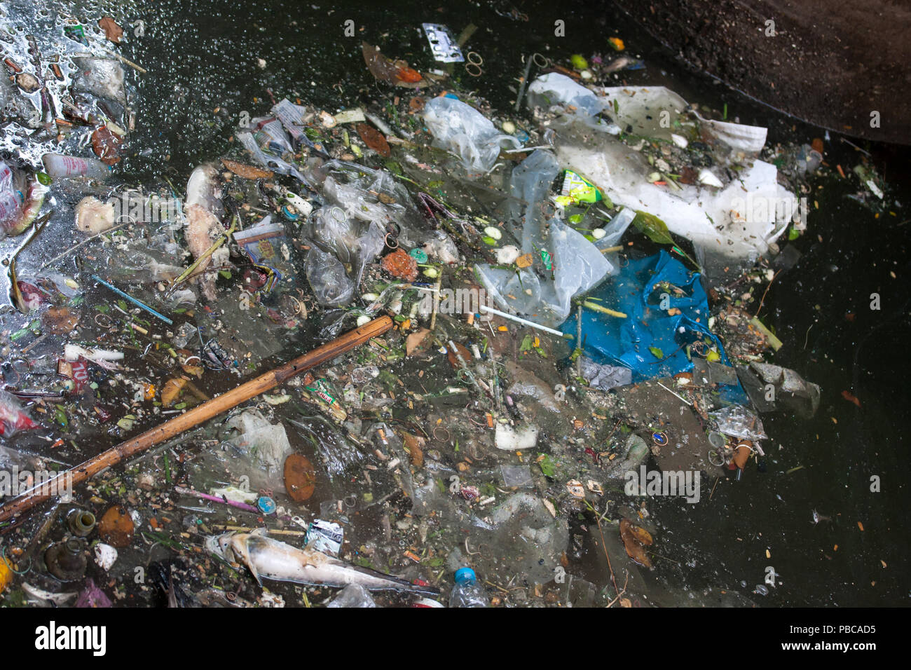 BANGKOK, Thailandia - FEB 14 : Garbage accumulando presso una strada allagata durante la stagione dei monsoni a Bangkok, in Thailandia il Feb 14, 2015. Foto Stock