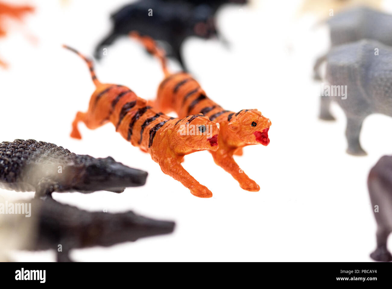 Tigri giocattolo da un'annata l'Arca di Noè giocare insieme, fotografato su uno sfondo bianco. Foto Stock