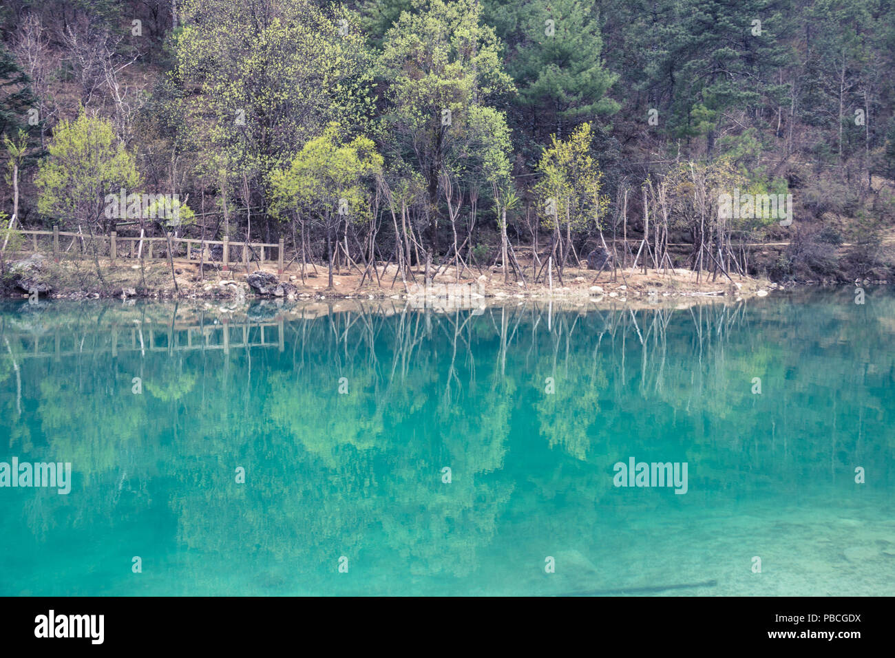 Blue Moon Valley in Lijiang, Yunnan, Cina Foto Stock