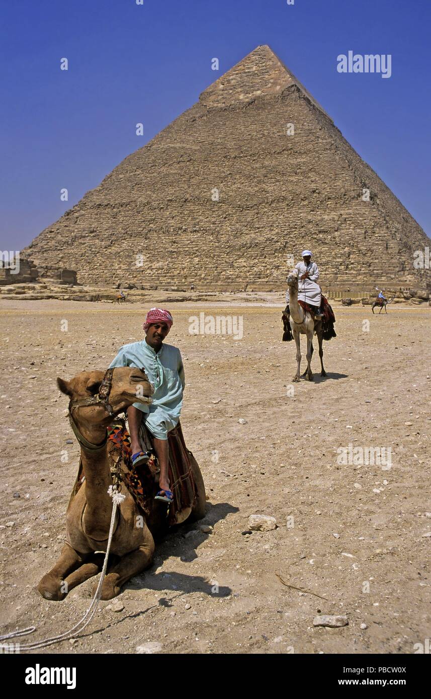 Driver del cammello e la piramide di Chephren -26secolo a.c. la Necropoli di Giza, Cairo, Egitto, Africa. Foto Stock