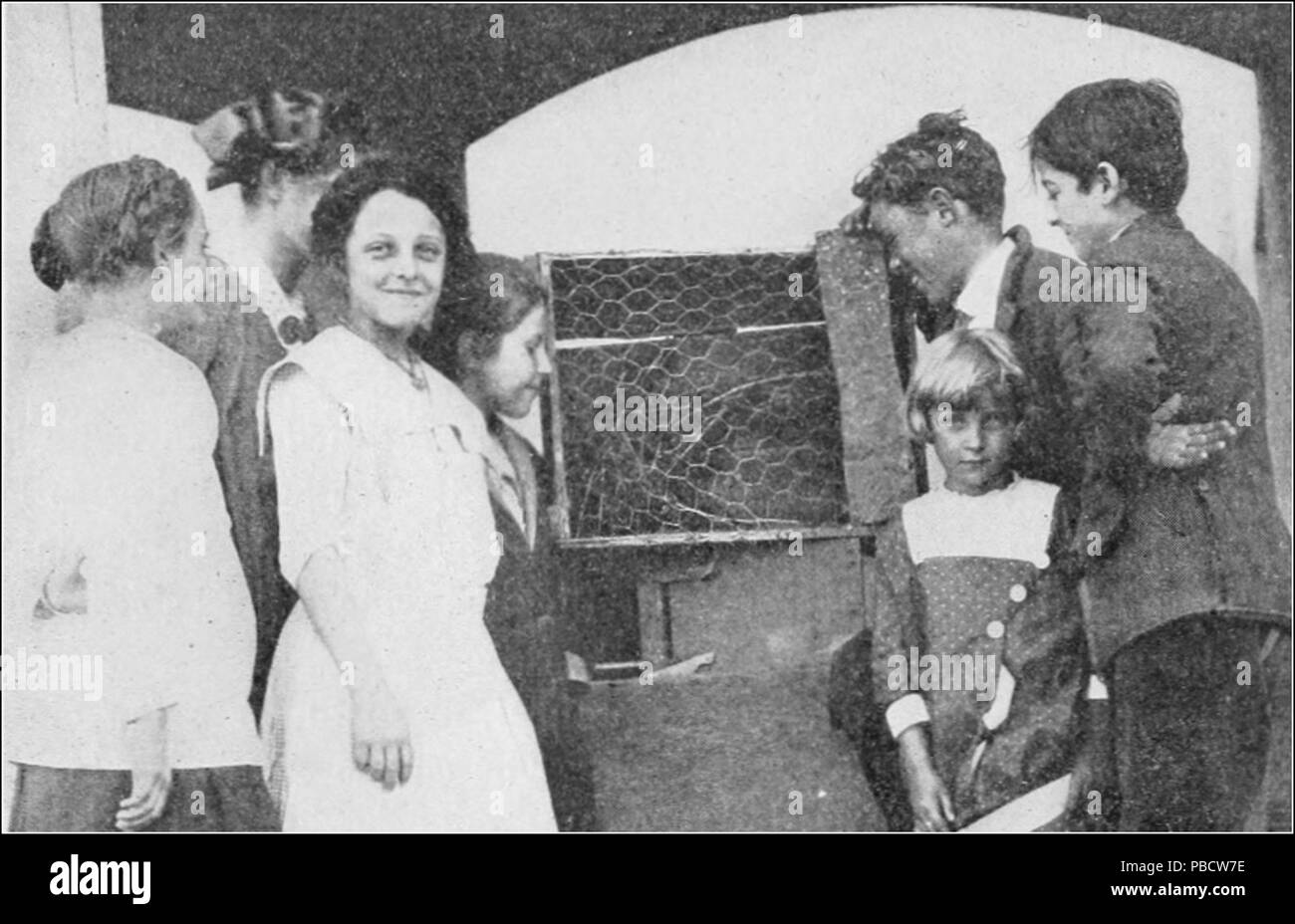 1234 PSM V84 D336 osservazione al live-box Foto Stock