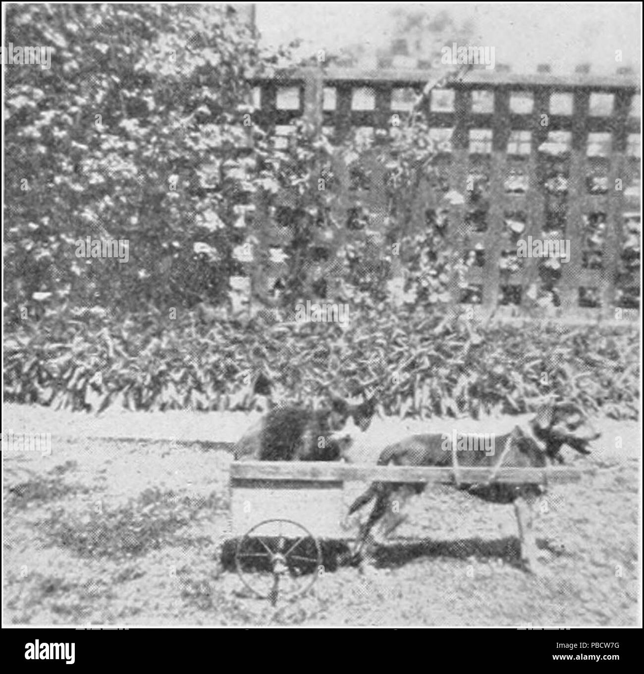 1234 PSM V84 D338 primo premio al primo carattere annuale-studio mostra di los angeles city scuole Foto Stock