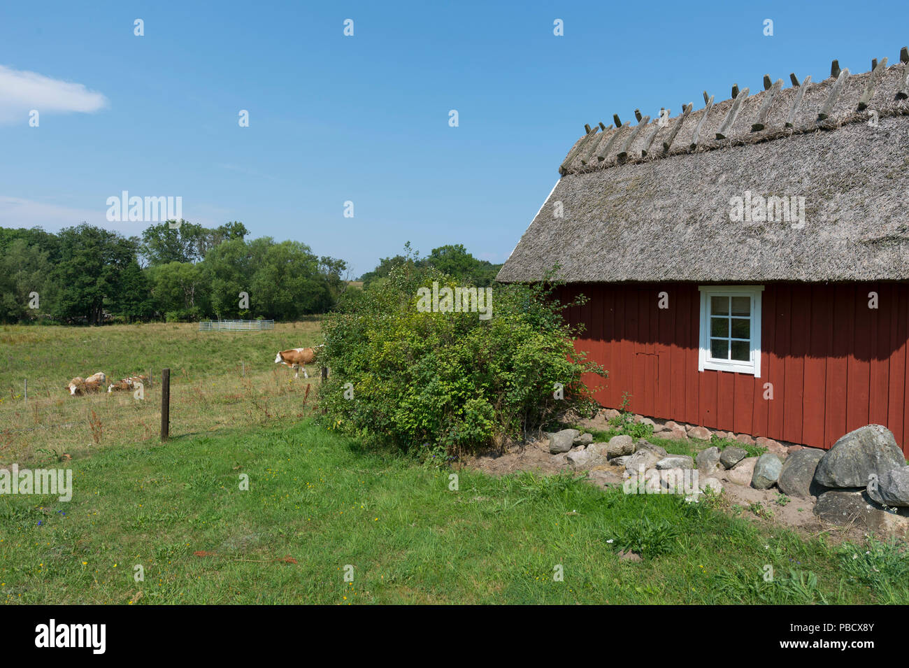 Tradizionale casa di campagna con tetto di paglia nel sud della Svezia, Skåne. Foto Stock