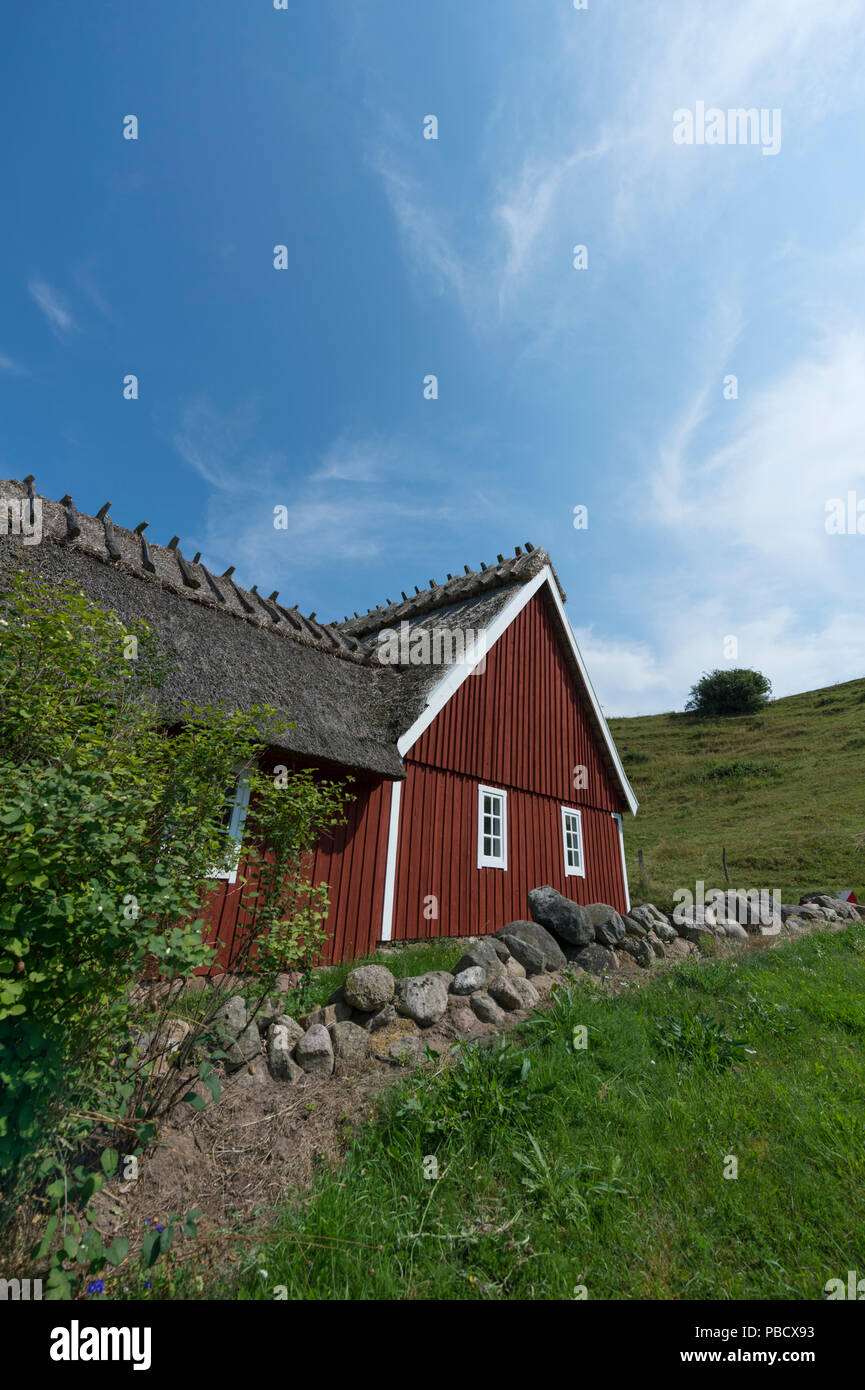 Tradizionale casa di campagna con tetto di paglia nel sud della Svezia, Skåne. Foto Stock
