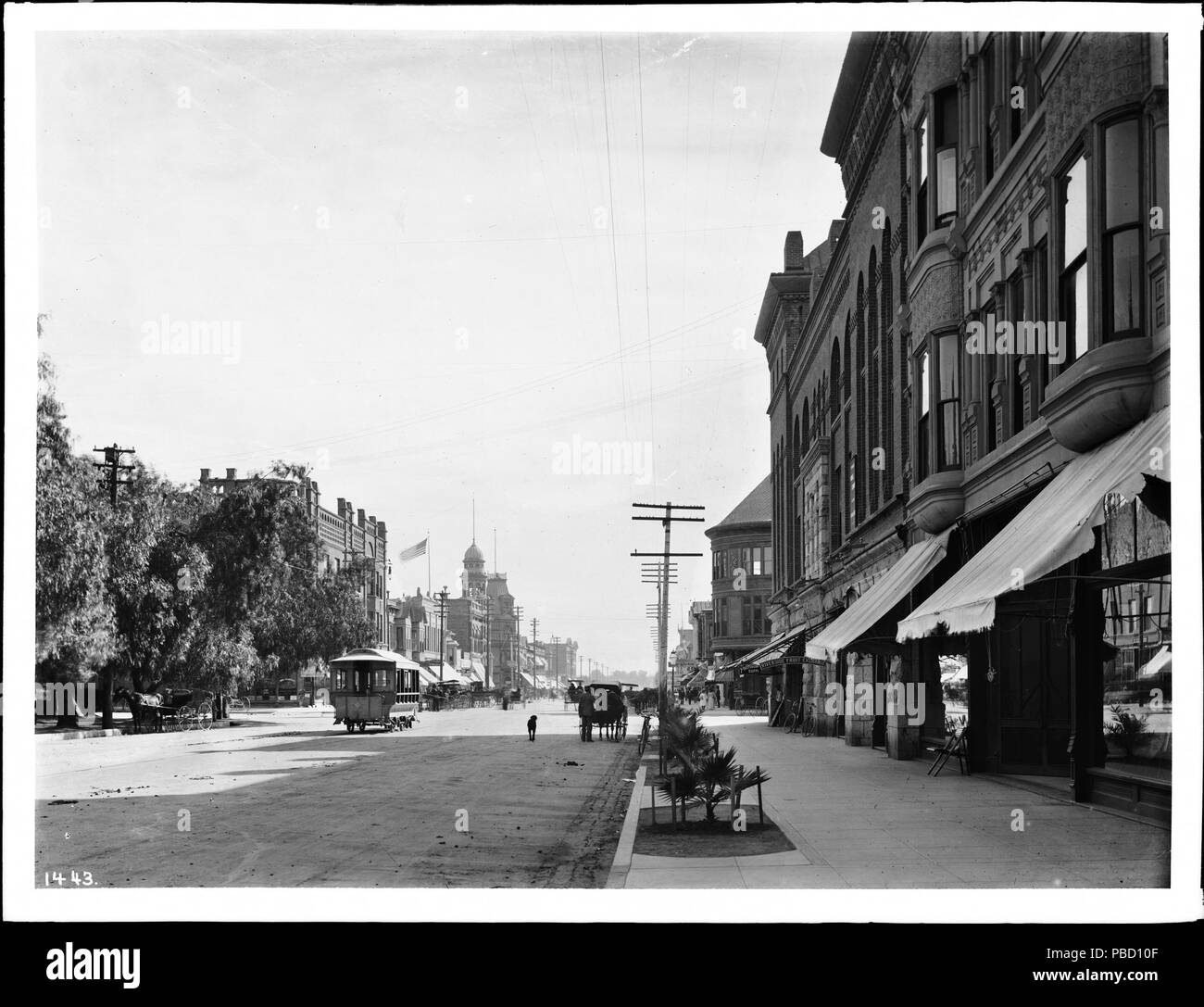 . Inglese: Riverside sulla via principale, ca.1900-1903 fotografia della strada principale di Riverside, guardando verso sud, ca.1900-1903. Un tram è in mezzo alla strada. Le piante sono piantate in piccole aree tagliate del marciapiede adiacente al cordolo. Tende da sole ombra vetrine del negozio a destra. Poli di utilità e le linee eseguite su entrambi i lati della strada. In un piccolo stand di grandi alberi si trova sul lato sinistro della strada (in primo piano). Al di là degli edifici (commerciale e residenziale) sono visibili. Uno ha una cupola torre. Una bandiera americana vola dal tetto di un altro. Un cane cammina accanto a un vagone tirato da cavalli nella strada vicino a Foto Stock