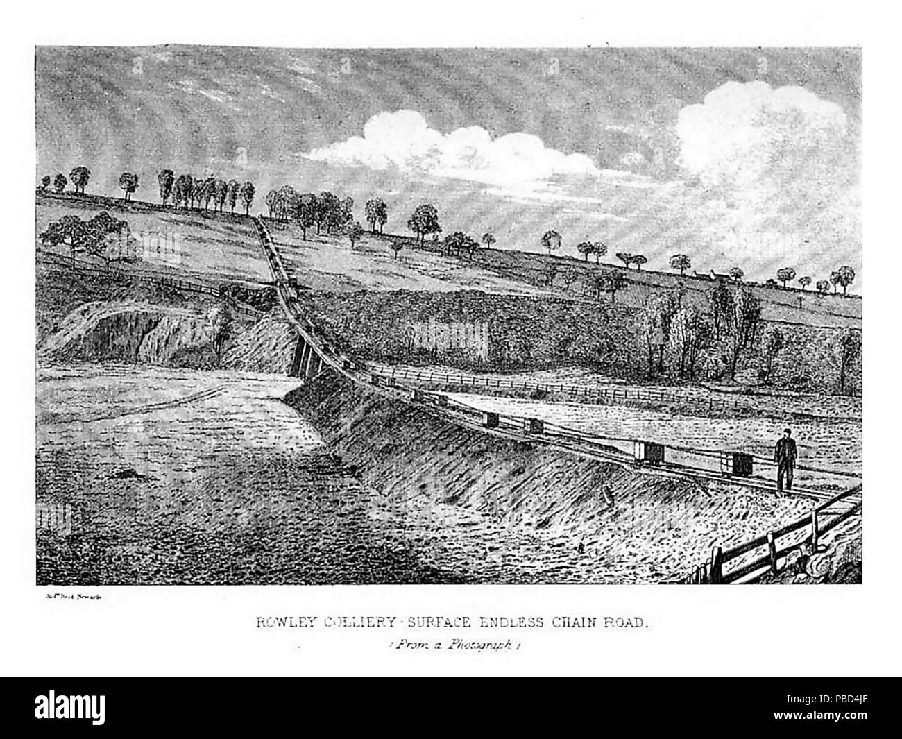 1273 Rowley ginny via Foto Stock