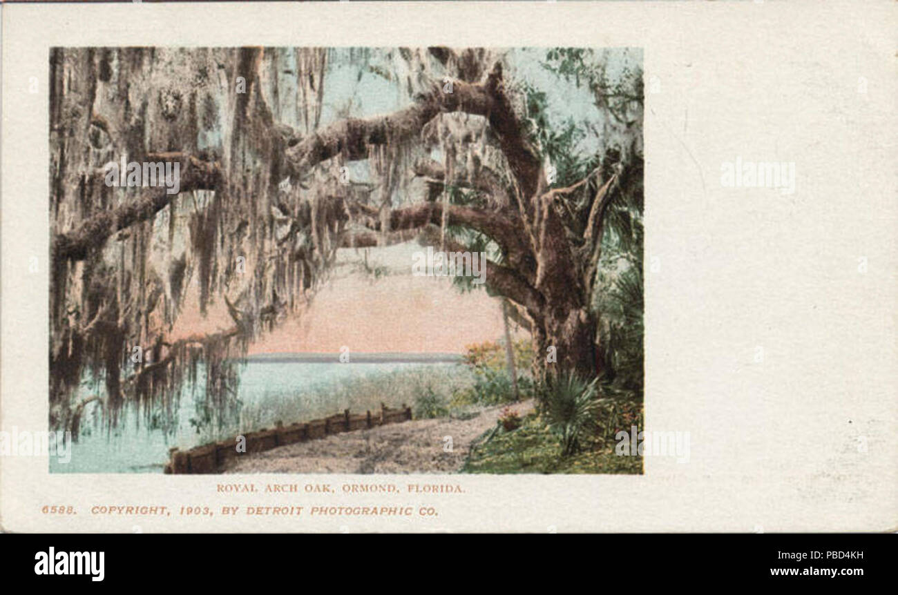 1274 Arco Reale Quercia Ormond, Florida (BNI 429503) Foto Stock