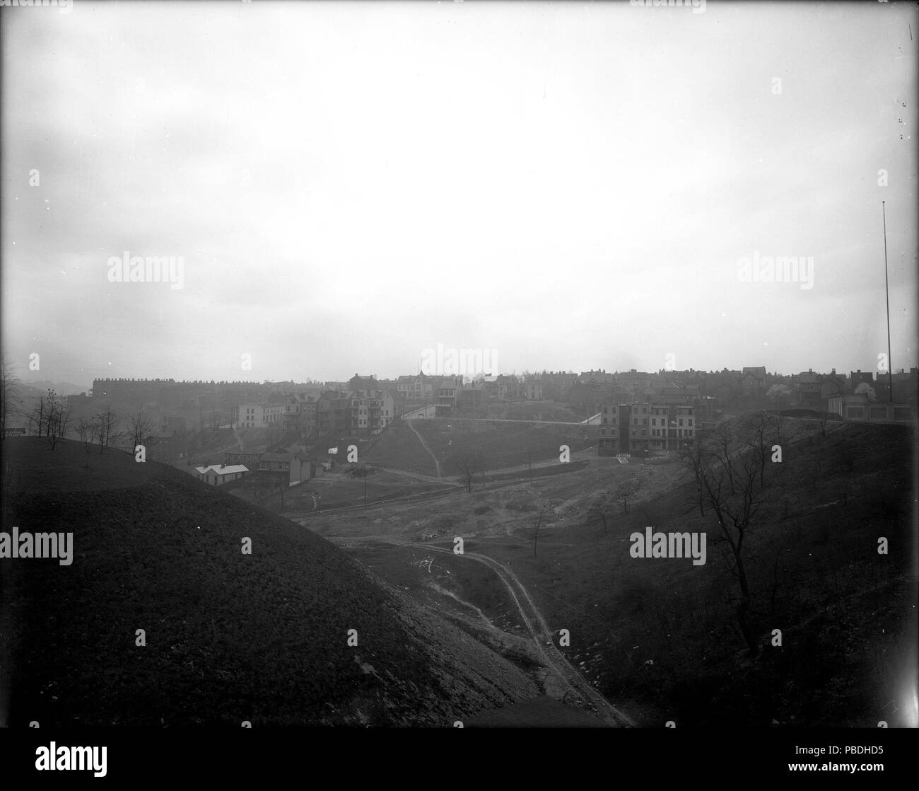 1294 Schenley Park (715.L16.CP) Foto Stock