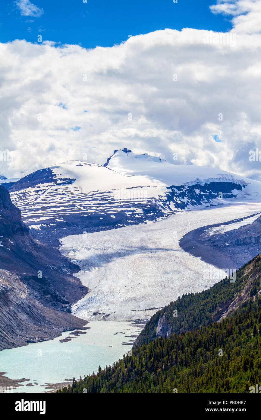 Ampie vista del ghiacciaio di Saskatchewan che fluisce dal Columbia Icefields come visto dalla cresta del crinale Parker sulla Icefields Parkway in Jasper N Foto Stock