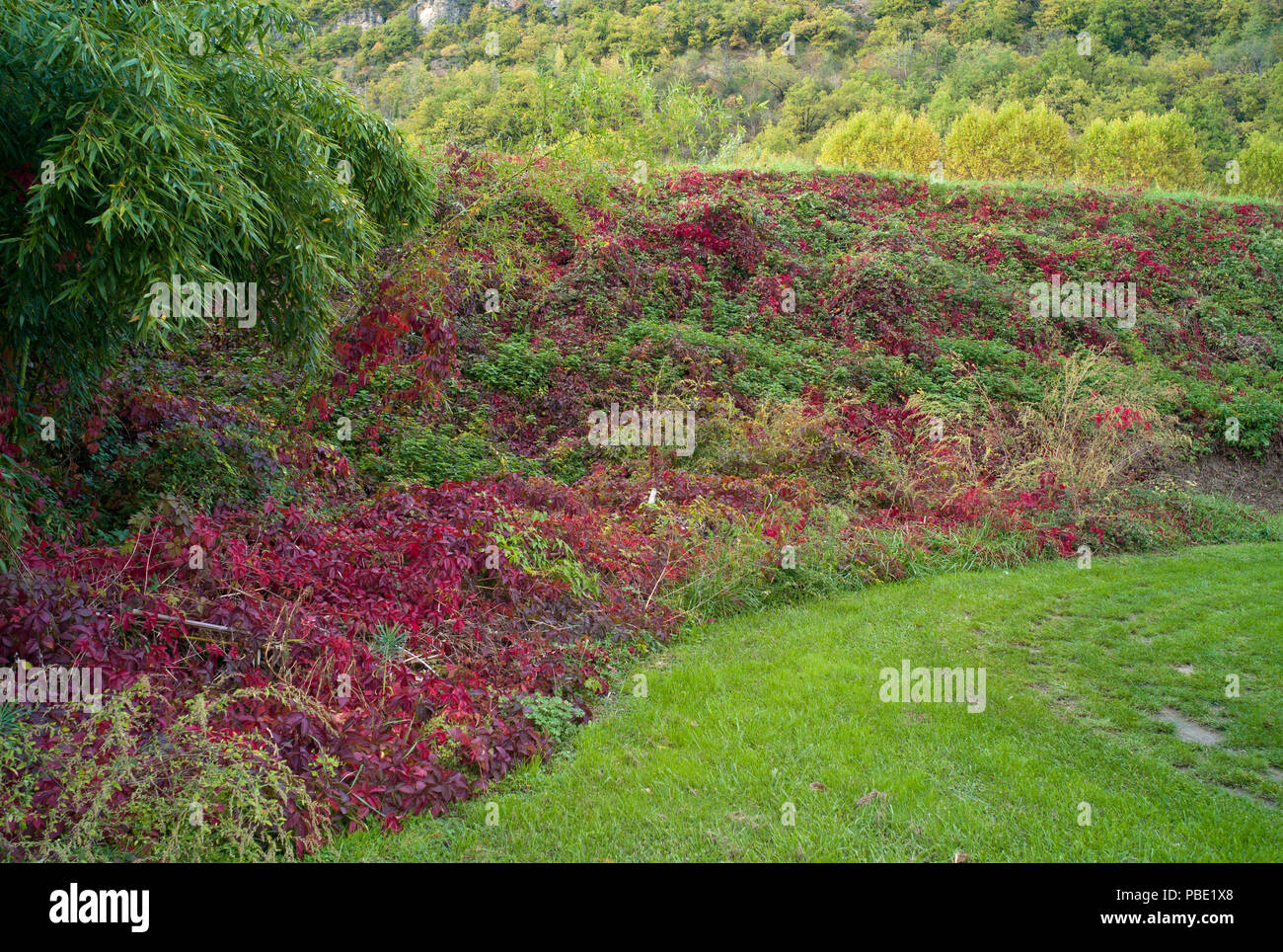 I colori autunnali sulla terra comune nella frazione di Lexos, parte del comune di Varen, Tarn et Garonne, Occitanie, Francia Foto Stock