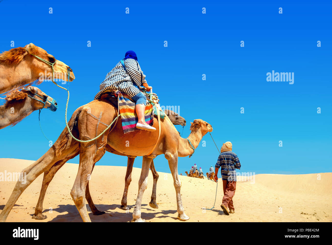 Safari Tourism. La Tunisia, il deserto del Sahara, Nord Africa Foto Stock