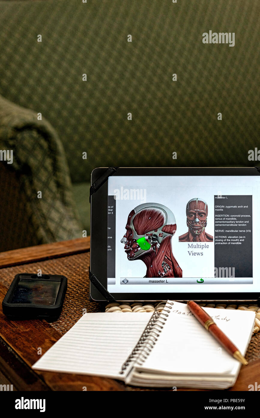 Con internet e la tecnologia che abbiamo ora, gli studenti sono in grado di fare una maggioranza di vi compiti e studi su dispositivi portatili. Foto Stock