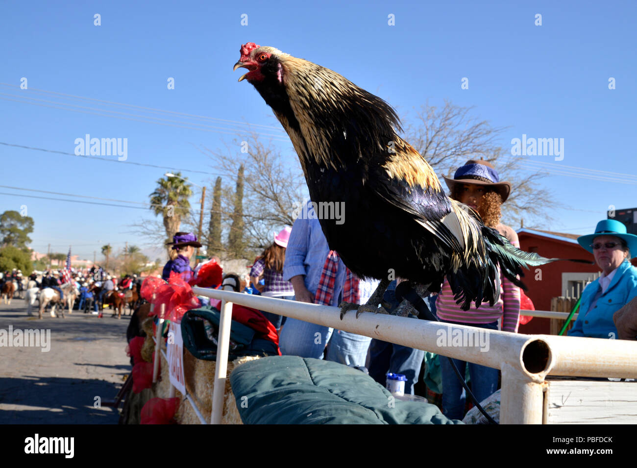 I partecipanti attendere per inserire il Tucson Rodeo Parade, Tucson, Arizona, Stati Uniti. Foto Stock