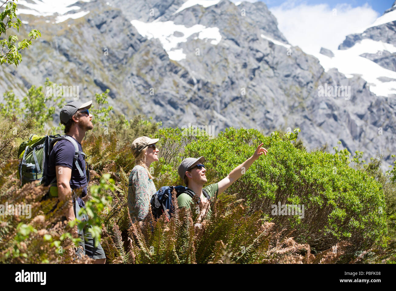 Nuova Zelanda aka Aotearoa, Isola del Sud, Mt Aspiring National Park, gruppo di amici escursioni nel bush, con panoramiche montagne sullo sfondo. Modello rilasciato. Foto Stock