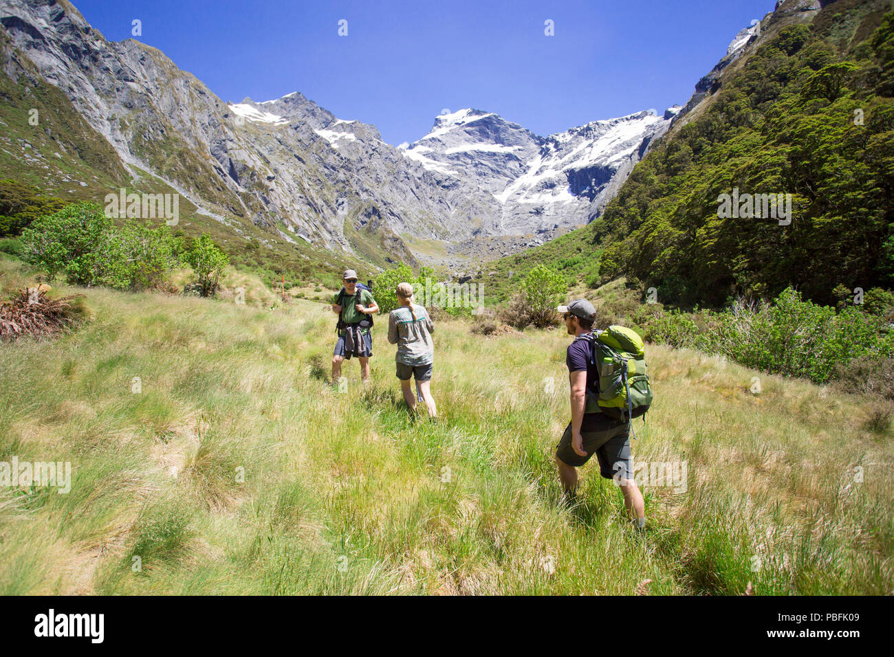Nuova Zelanda aka Aotearoa, Isola del Sud, Mt Aspiring National Park, gruppo di amici escursionismo in Valle, con montagne panoramiche. Modello rilasciato. Foto Stock
