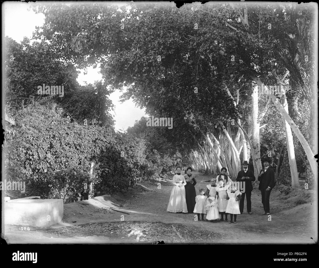 . Inglese: un piccolo gruppo di persone su Poplar Avenue, Aranguez, Sonora, Messico, ca.1905 fotografia di un gruppo di dieci persone (due uomini, tre donne e cinque bambini) in piedi la sterrata Poplar Avenue, Aranguez, Sonora, Messico, ca.1905. Una lunga fila di alberi di pioppo linee la strada sulla sua destra. Sulla sinistra della strada sono più piccoli alberi o arbusti. Gli edifici non sono visibili ma all'estrema sinistra vi è la prova di una struttura. Chiamare il numero: CHS-1526 Filename: CHS-1526 La copertura data: circa 1905 parte della collezione: California Historical Society raccolta, 1860-1960 Formato: lastra di vetro negativi di tipo: Foto Stock