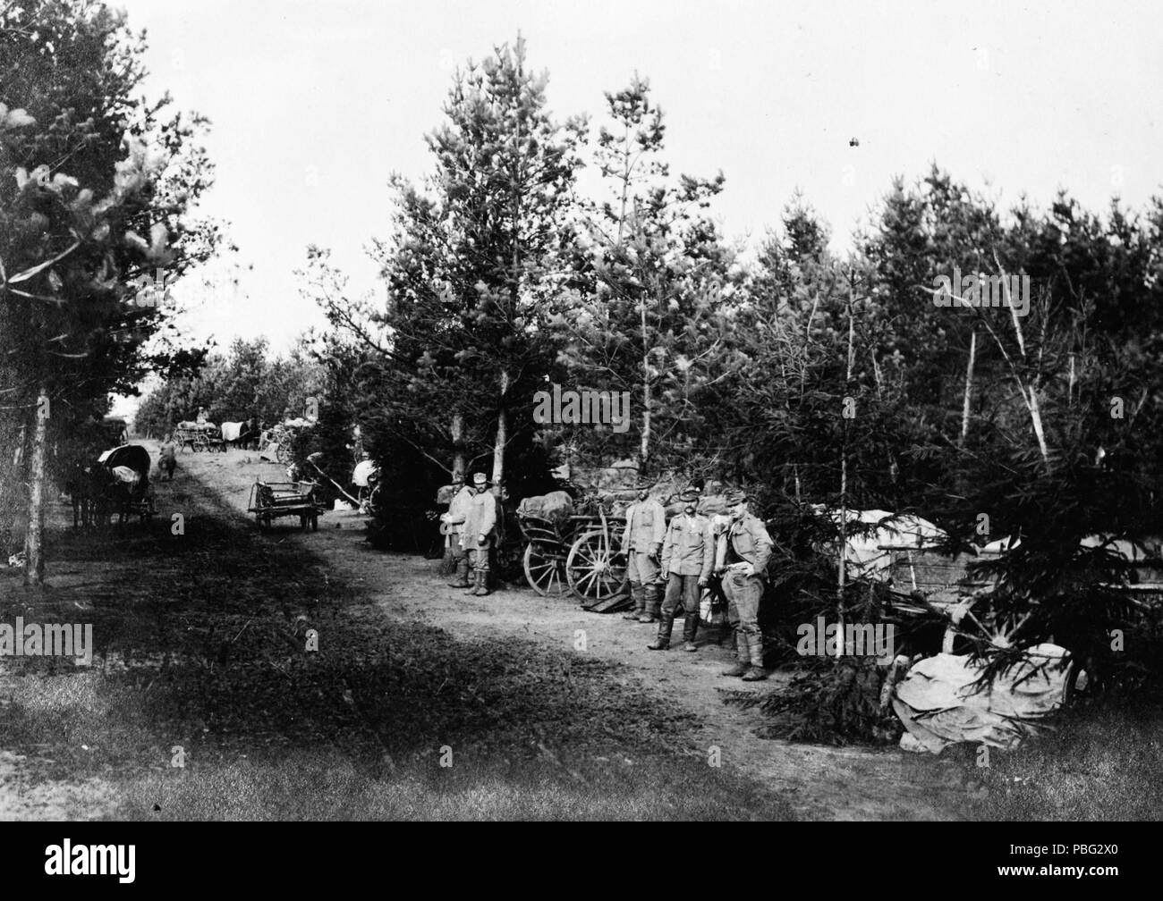 1548 soldato, la prima guerra mondiale, la carrozza trainata da cavalli Fortepan 73334 Foto Stock