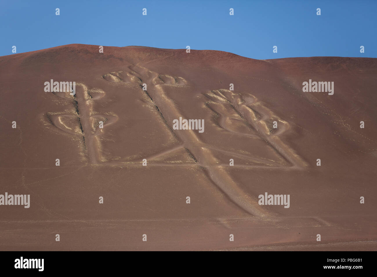 Paracas candelabri, aka candelabri delle Ande Foto Stock