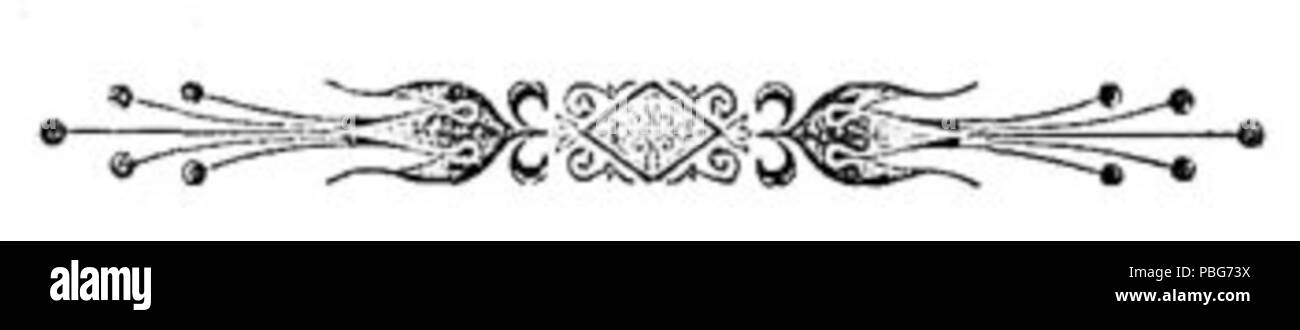 1581 fiore stilizzato confine Foto Stock