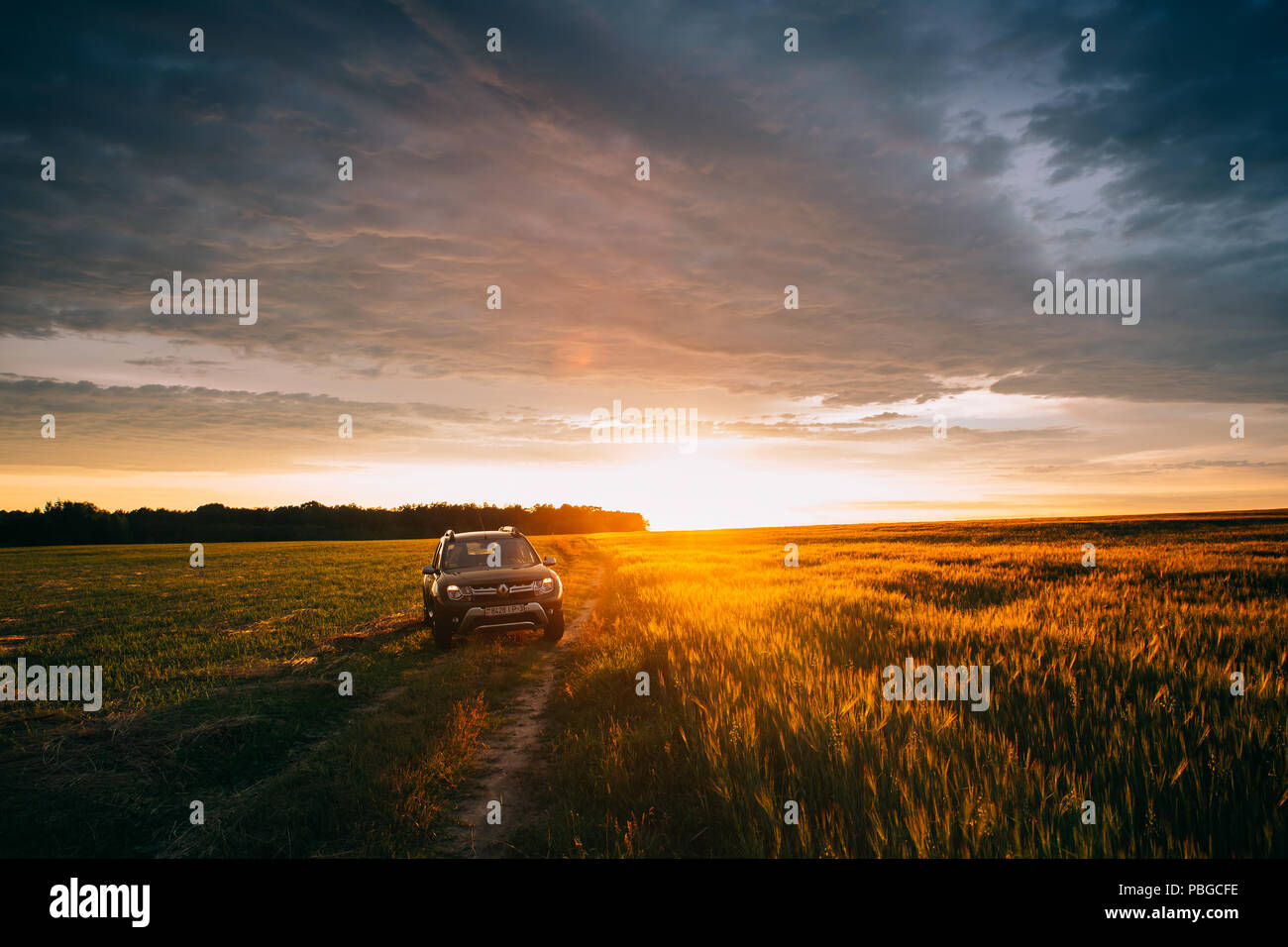 Gomel, Bielorussia - Giugno 22, 2018: Renault Duster o Dacia Duster Suv in strada attraverso Estate Campo di grano in un tramonto meraviglioso tempo. Duster realizzato congiuntamente Foto Stock