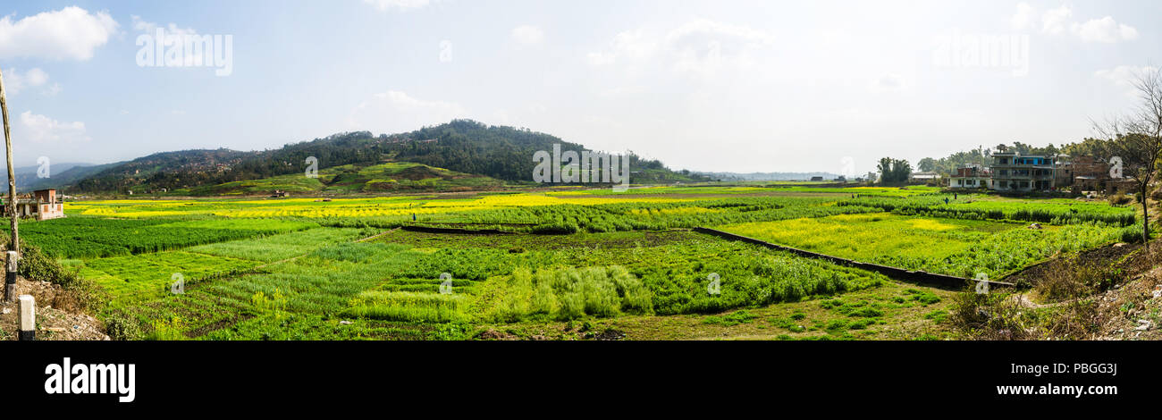 Panorama del campo coltivato nei pressi di Gokarna, valle di Kathmandu, Nepal Foto Stock