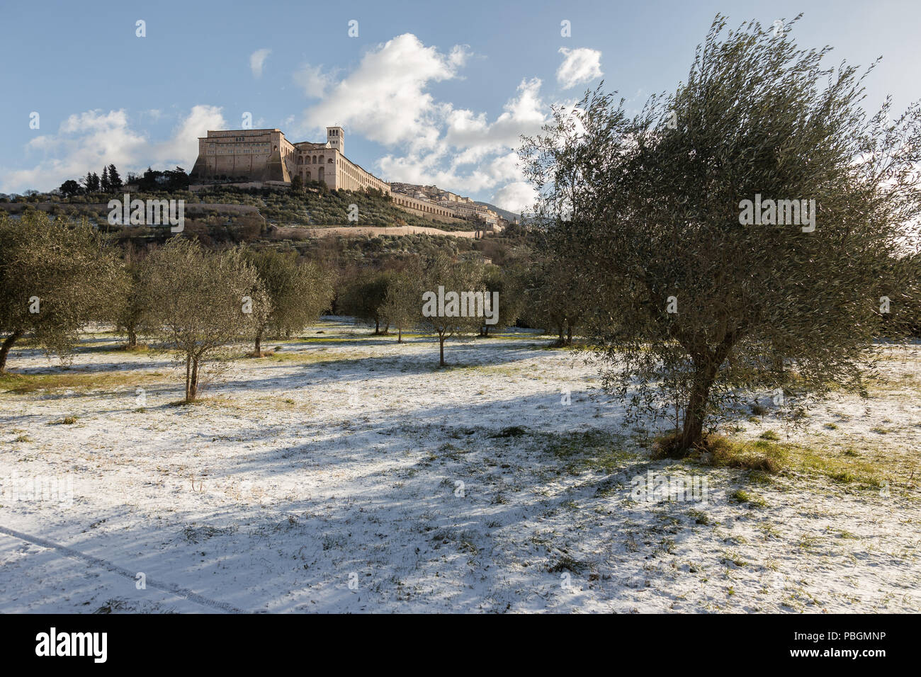 Vista della città di Assisi (Umbria) in inverno, con un campo di olivi coperte da neve e cielo blu con nuvole bianche Foto Stock