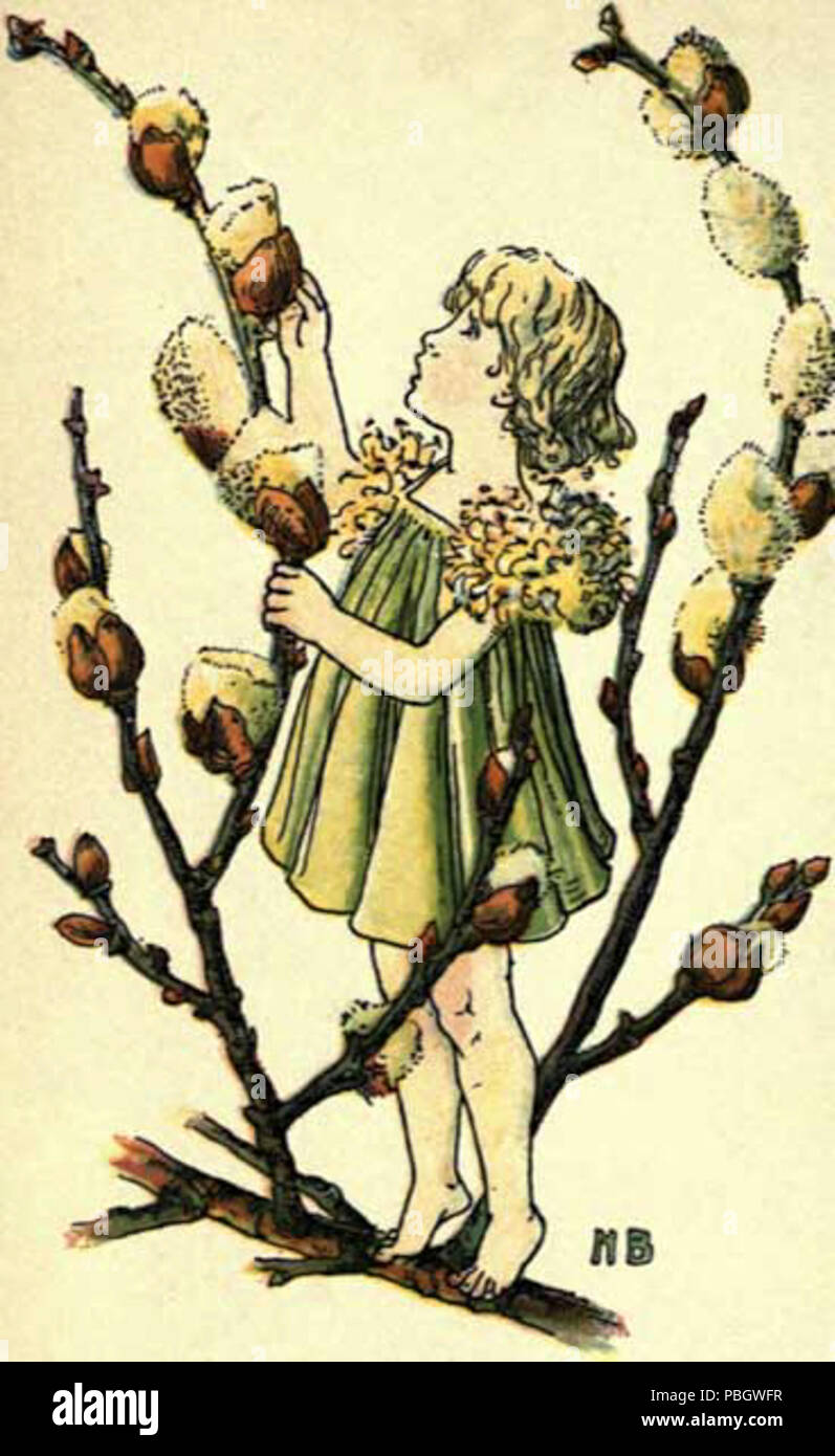 1630 La losca libri per bambini; n. 7. Un fiore Prenota Willow Foto Stock