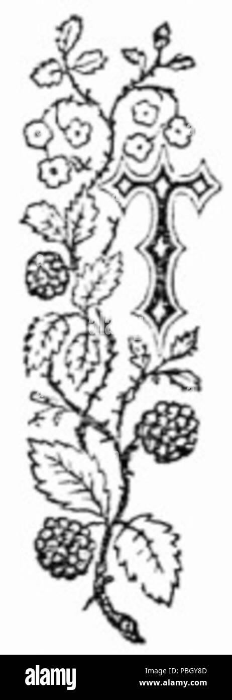 1651 la lettera T Foto Stock